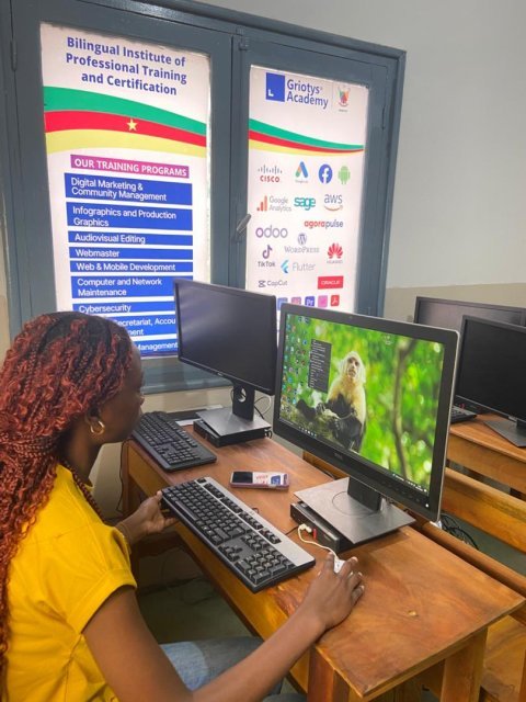 Griotys Academy - Institut de Formation Professionnelle Bilingue Privé