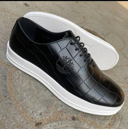 Chaussure homme - Timberland couleur noire