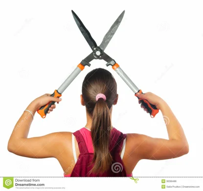 CIseaux de jardinage